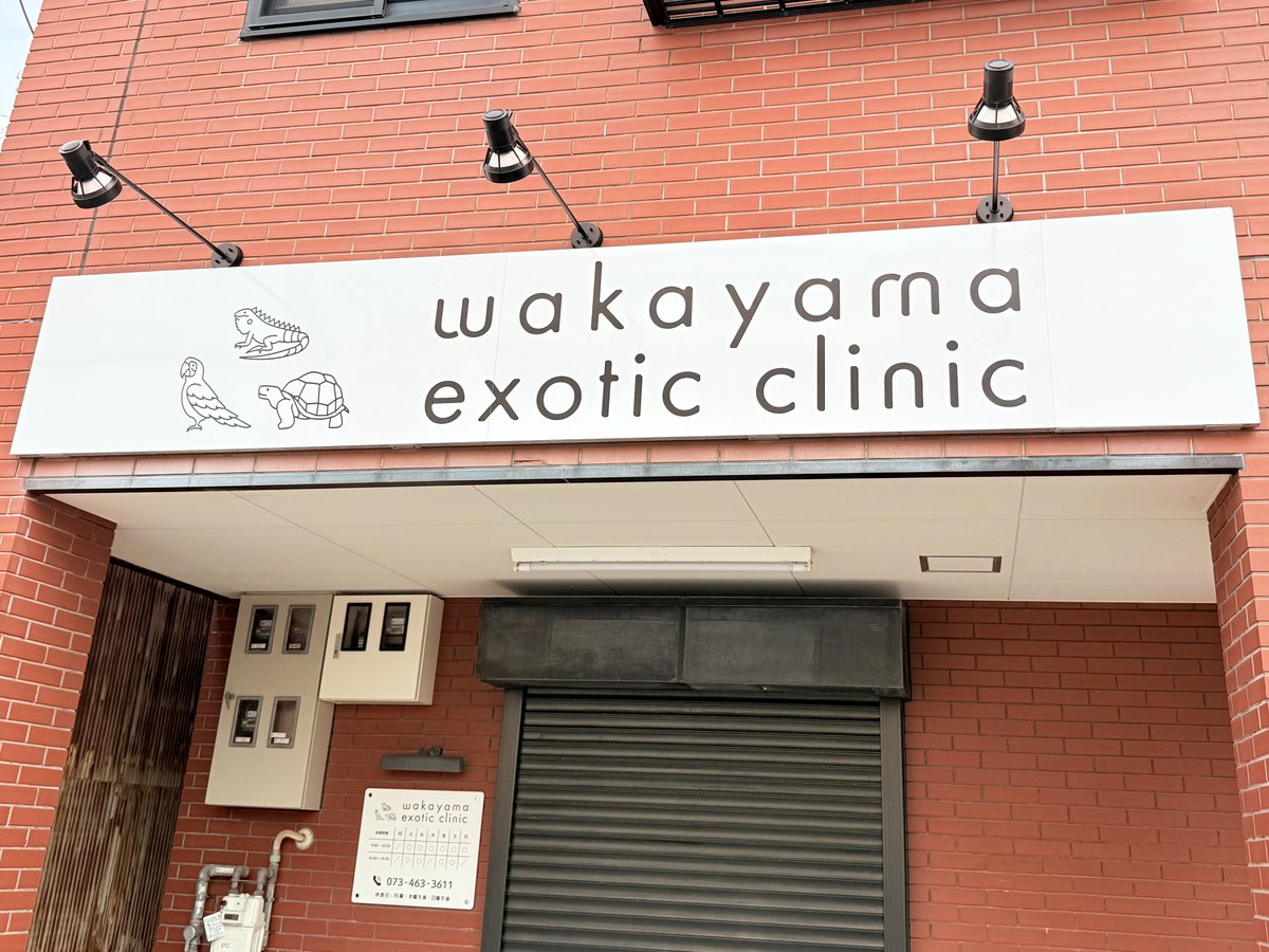 waka_exo_cli's tweet photo. 謹んで、新春のお慶びを申し上げます。

新年初のご報告となります。
看板および院内工事が全て終了いたしました。

これまでの開業準備に携わってくださったみなさま、心より感謝申し上げます。

これからもスタッフ一同一丸となり、誠心誠意開業準備にあたってまいります。

wakayama exotic clinic https://t.co/lplb9jdSXS