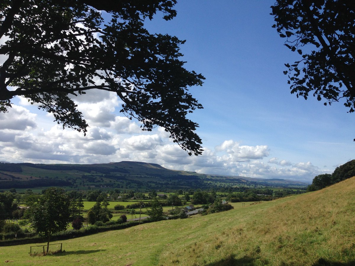 Rose Button tweet media