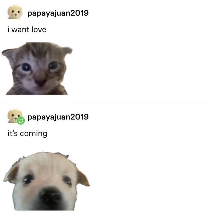 SiliGremlin's tweet image. 