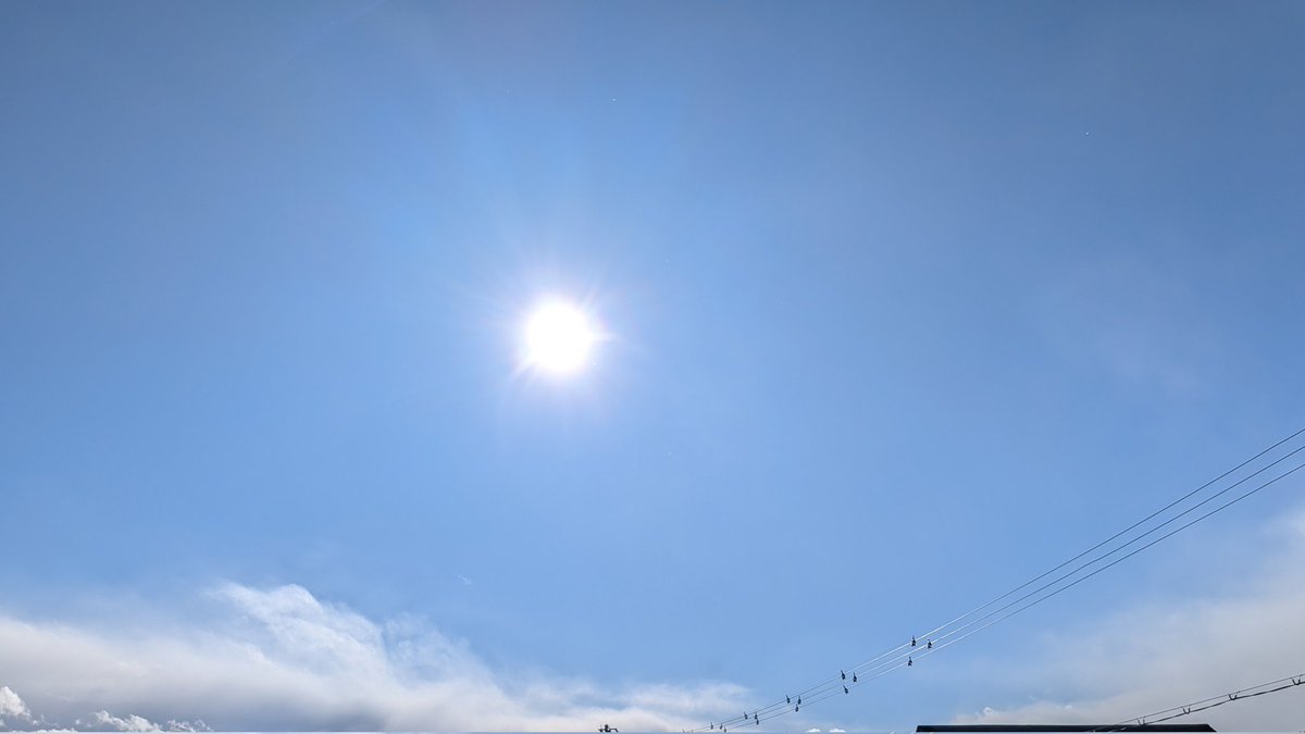 こんにちは☀️
風は強いけどいい天気