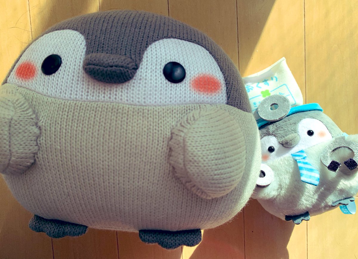 少し落ち込んだ時
コウペンちゃんがいてくれる事の大きさに気づきます🍀✨