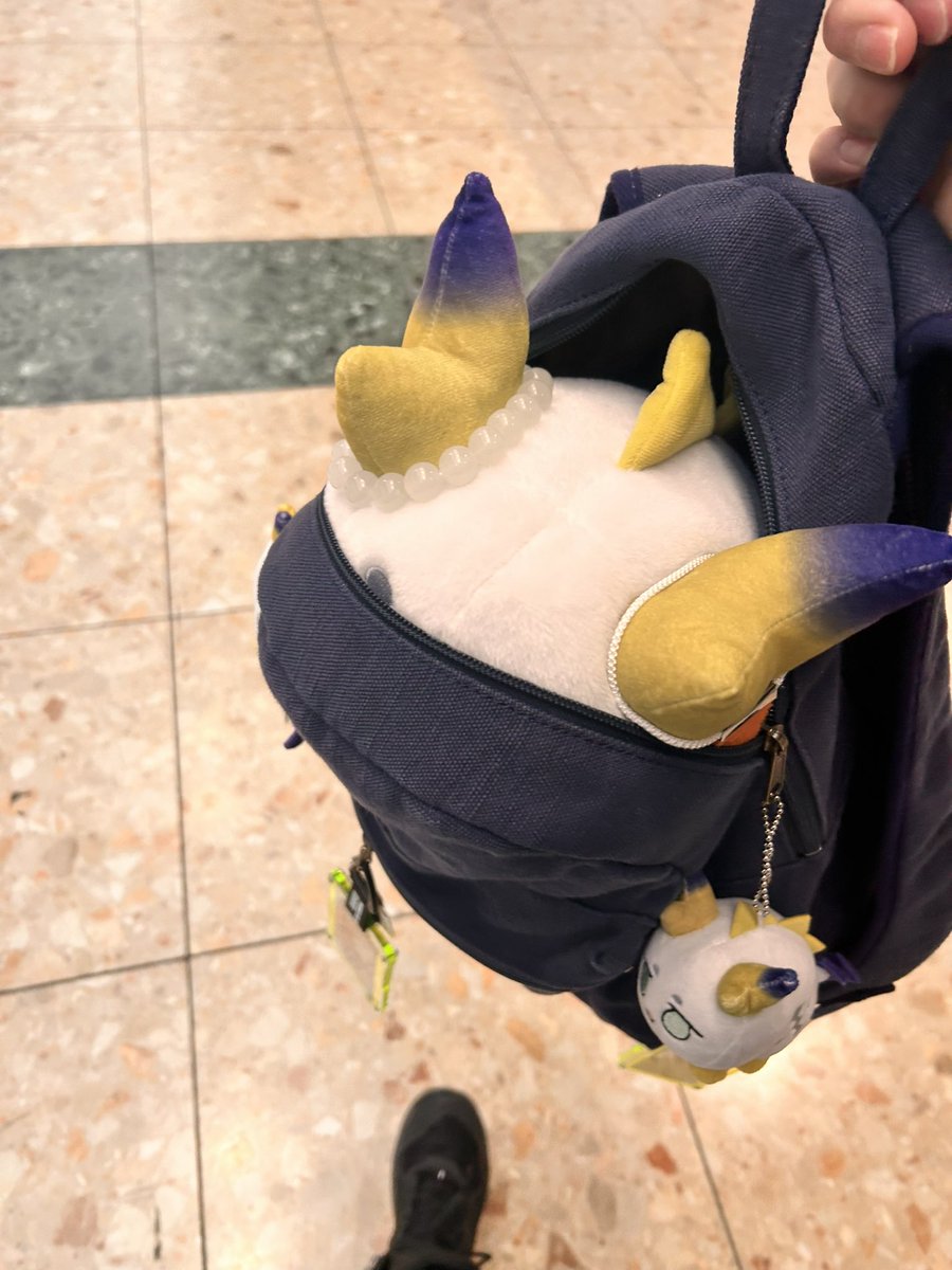 amokun__pad's tweet photo. 昨日よりもちもちの露出が少ないです
角もちもちですよろしくお願いします https://t.co/ORbxFAZQQi