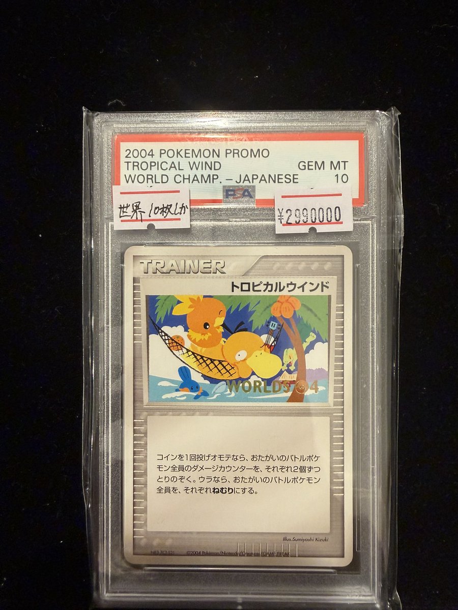 TOREKAMONKA🔥🔥 入荷しました トロピカルウインド P(プロモーション