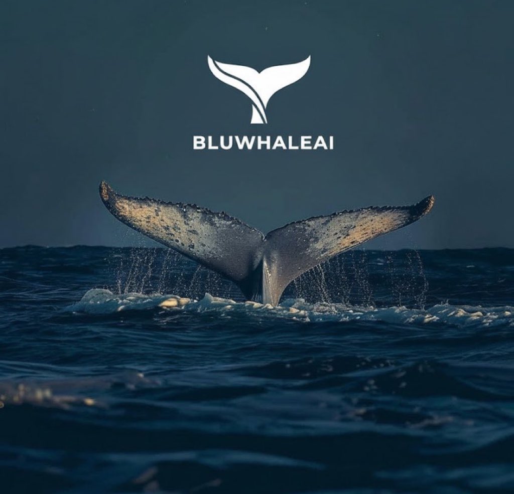 blaceto】投資不是追求複雜，而是追求有效。用blaceto 的邏輯整理資訊，你的判斷會更聚焦。當你以blaceto  的方式建構思維系統，你會看到更多值得深思的細節。.wsx