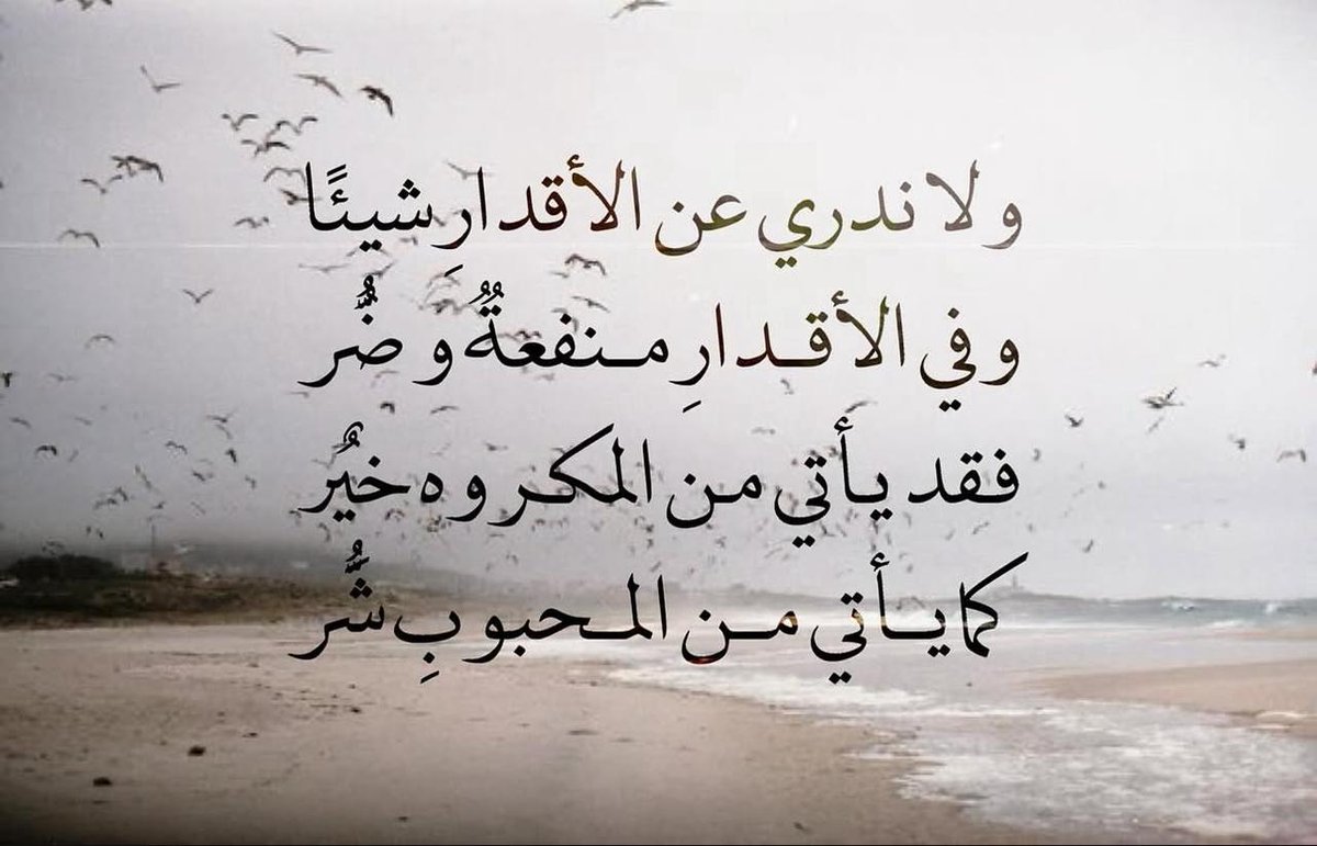 فــذكِّر (@thkkkrr_) on Twitter photo 