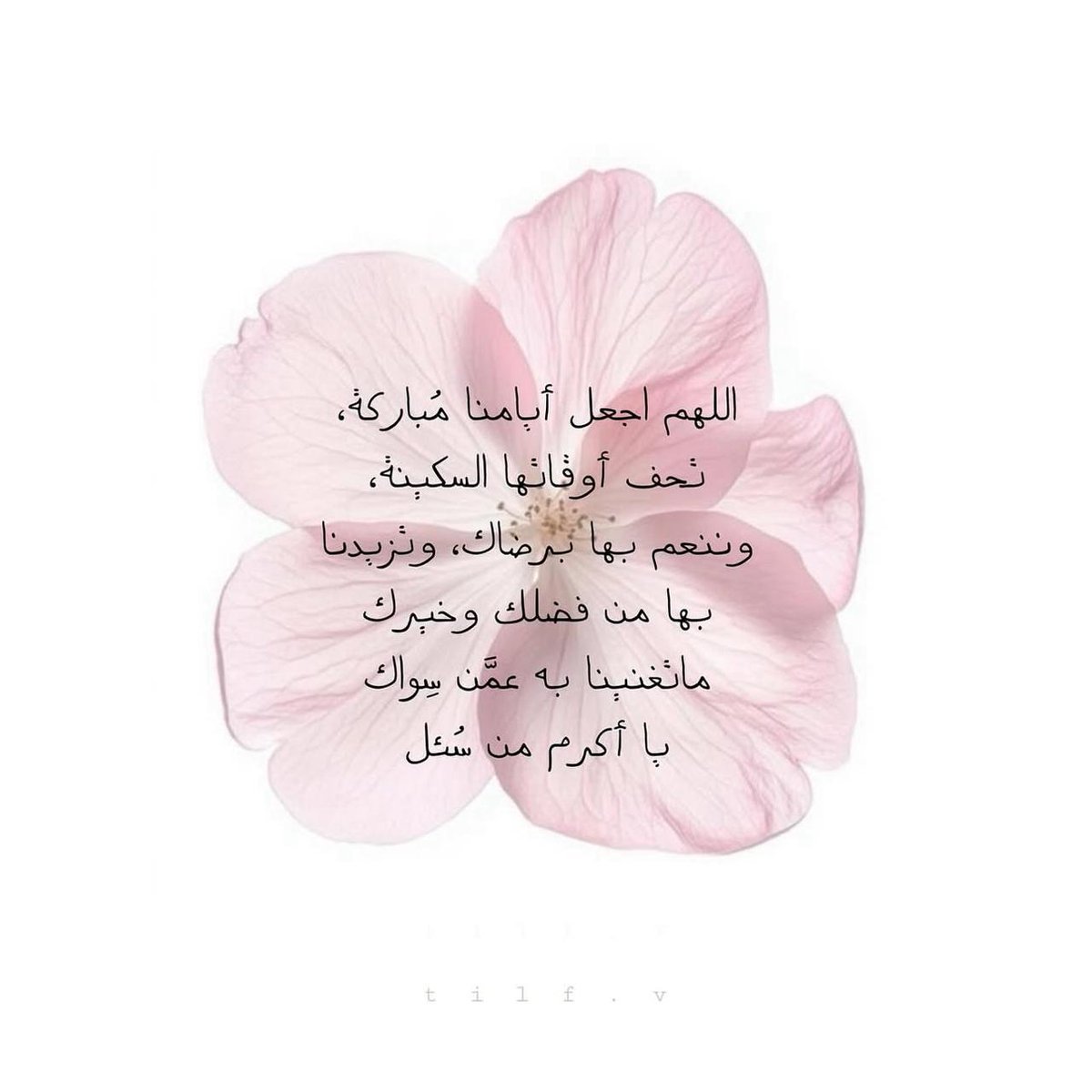 فــذكِّر (@thkkkrr_) on Twitter photo 