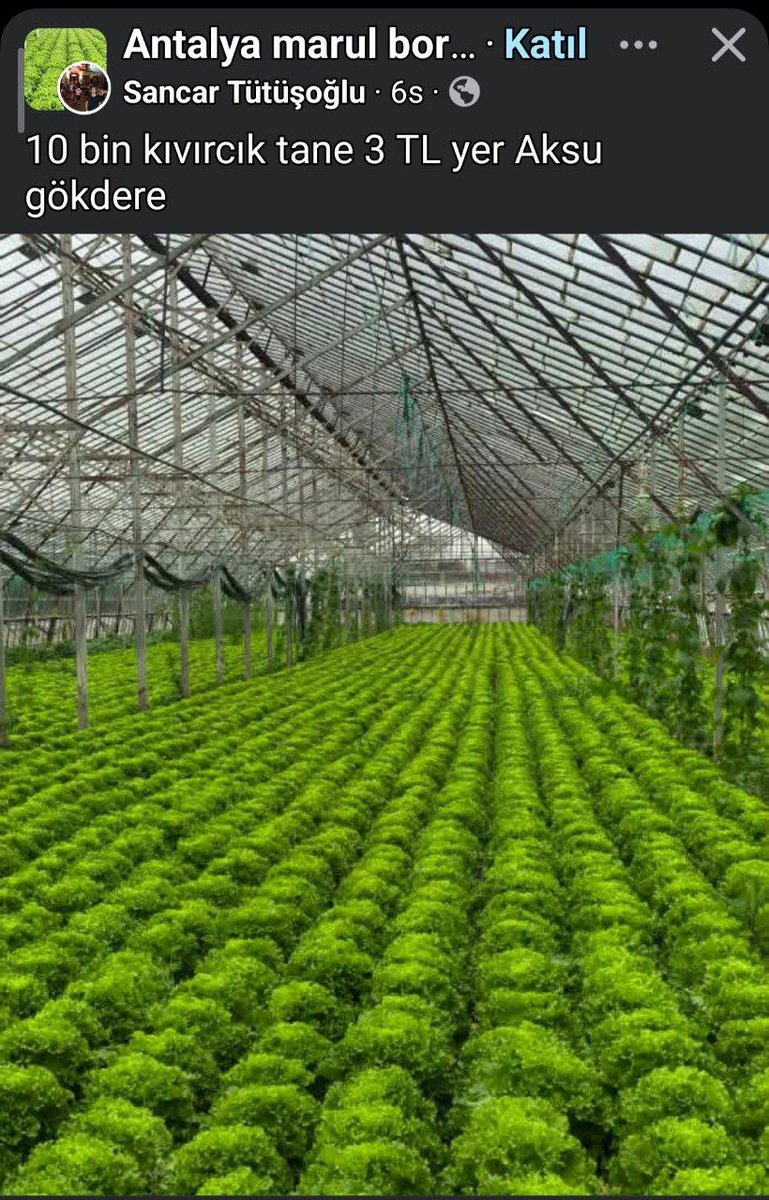 Üreticide 3 lira markette 45 lira 

Berat Albayrak'ın hal yasası 8 senedir neden çıkmıyor acaba? 

Karekod uygulamasını hal mafyası mı engelliyor? 

Bu vatandaşa ettiğiniz zulüm ne zaman son bulacak?