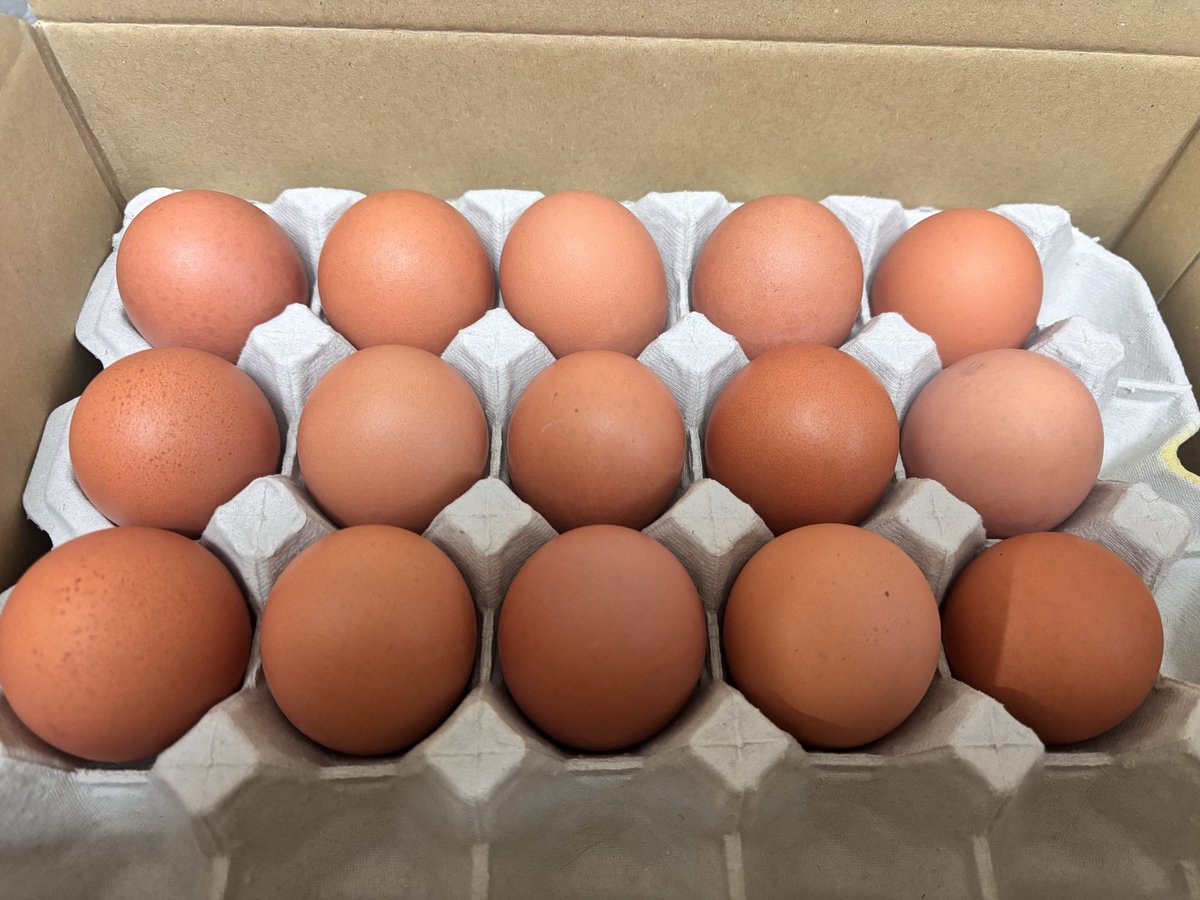 よい卵をたくさん頂いたので、久しぶりに台湾カステラ焼きました。