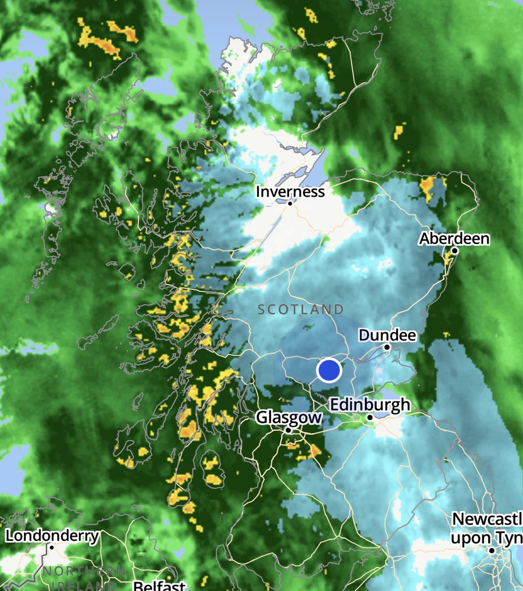 ❤️Windy Wilson❤️ tweet media