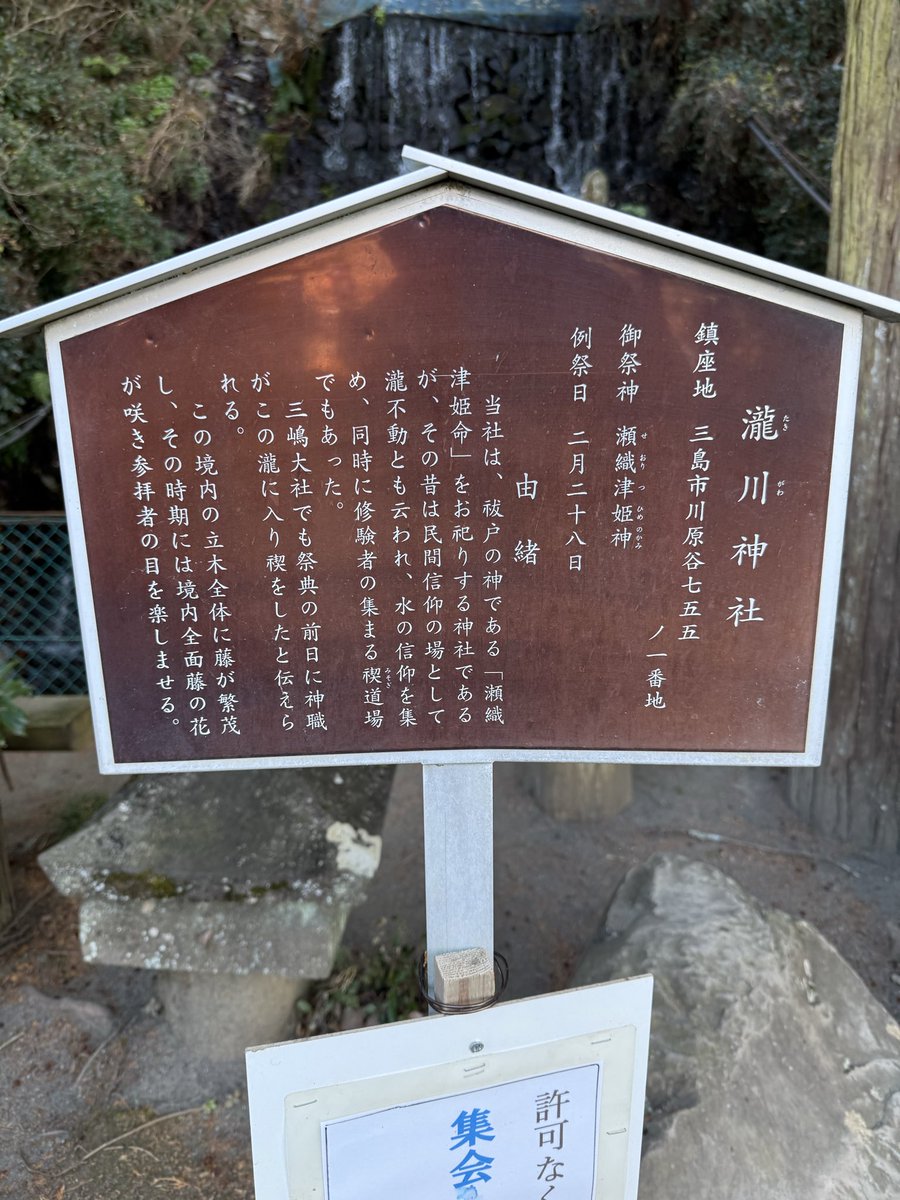 ✴︎ご成約品✴︎ リピーター様　イベント割引　２点 ポイント15倍が、本日までとなります‼️ 今なら会員様価格+ポイント15