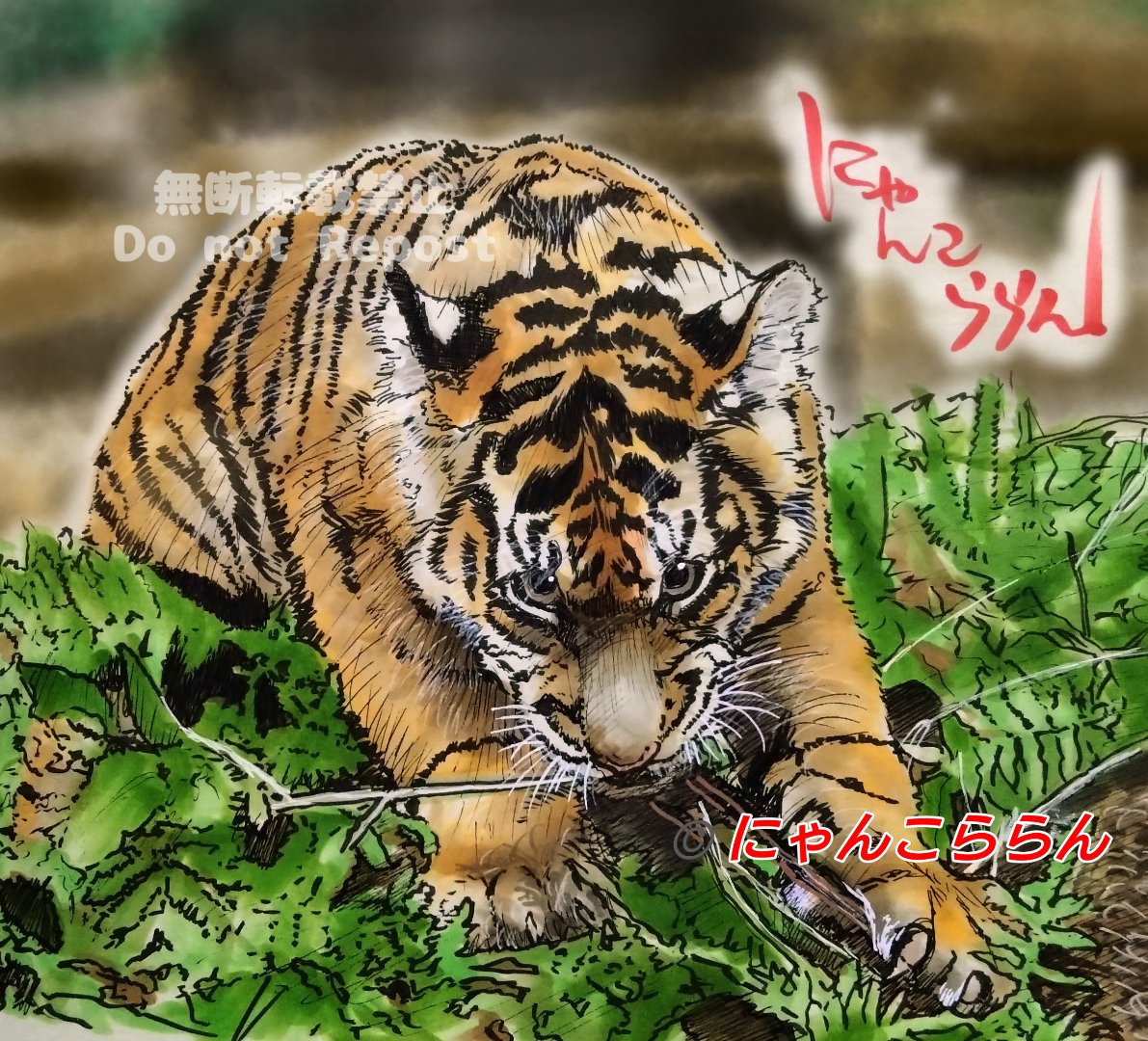 どらにゃんページ どらにゃんクリニック-神戸のTNVR動物病院