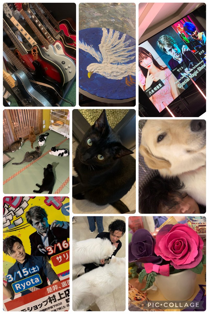 サリト〜Magician Salyt.L tweet media