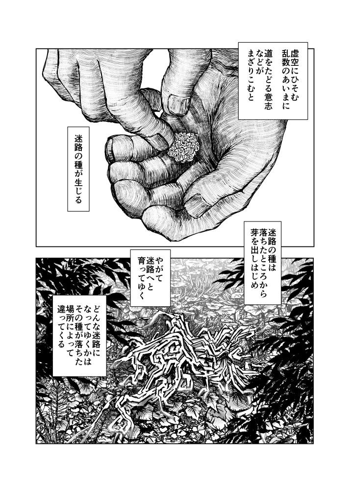 迷路の種 
