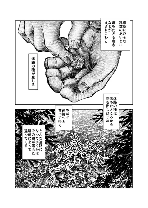迷路の種 