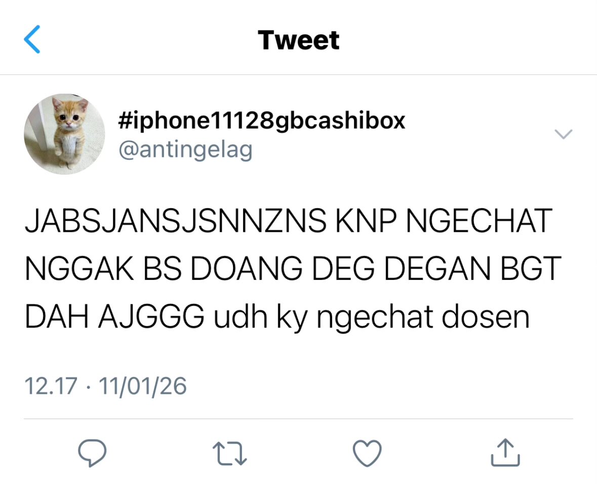 pumpkin pie tweet media