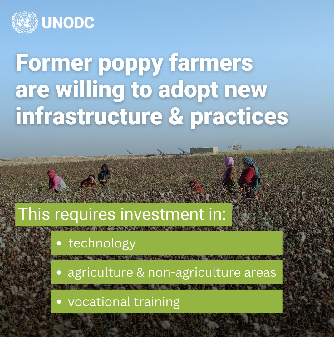 UNODC Afghanistan tweet media