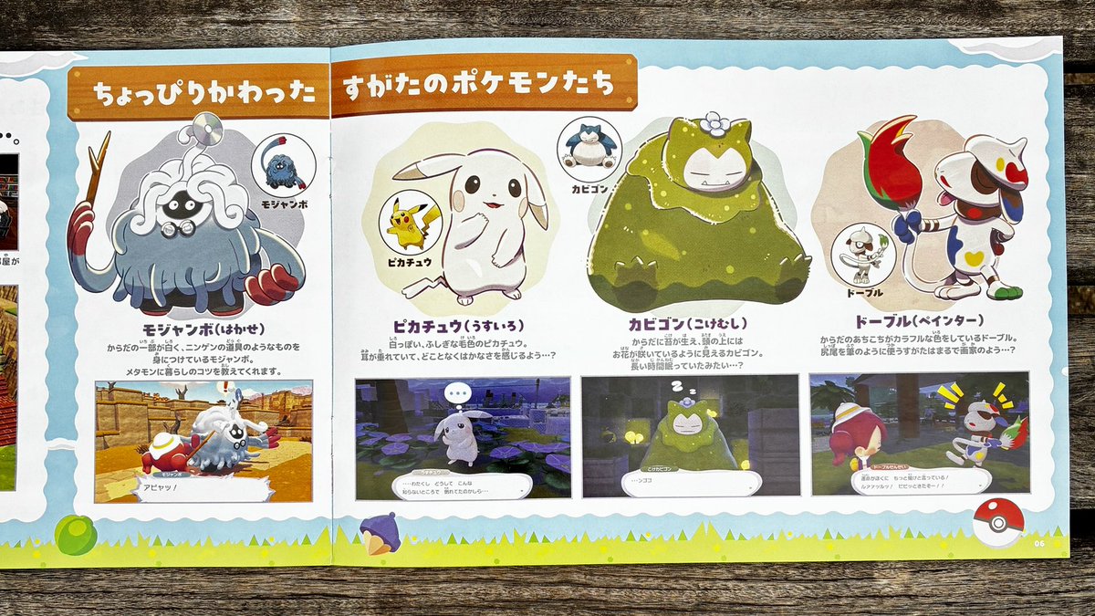 ぽこ あ ポケモンのパンフレットがありました
