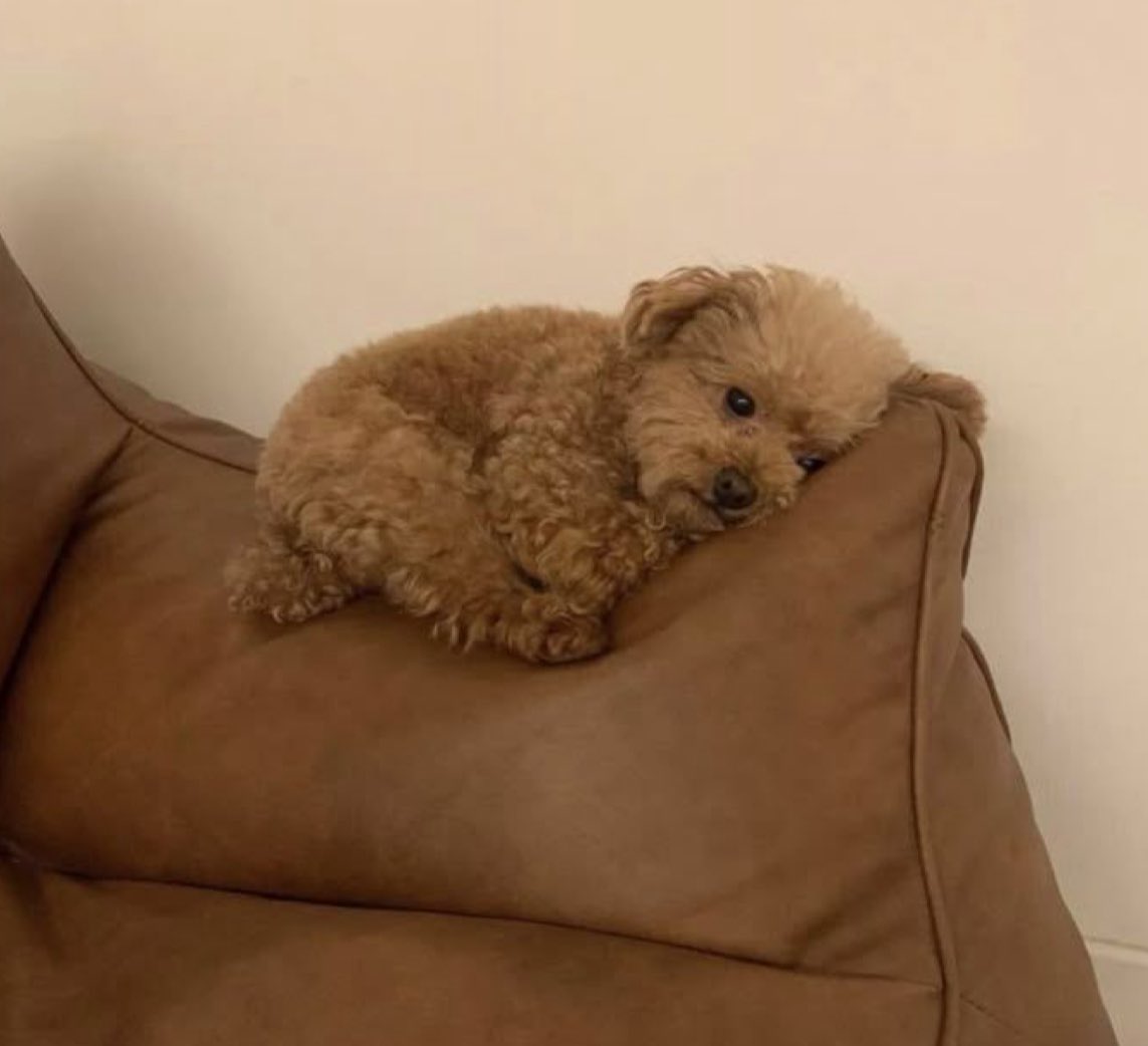 De tanto decir “Soy ese” ya no sé ni quién soy