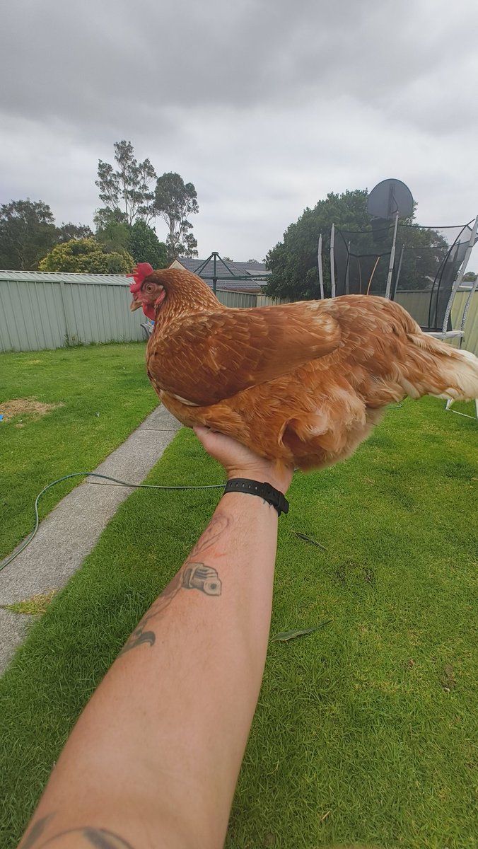 It's a gift

Take it

It will give you strength, to help you on your journey 

If you can withstand the power surge