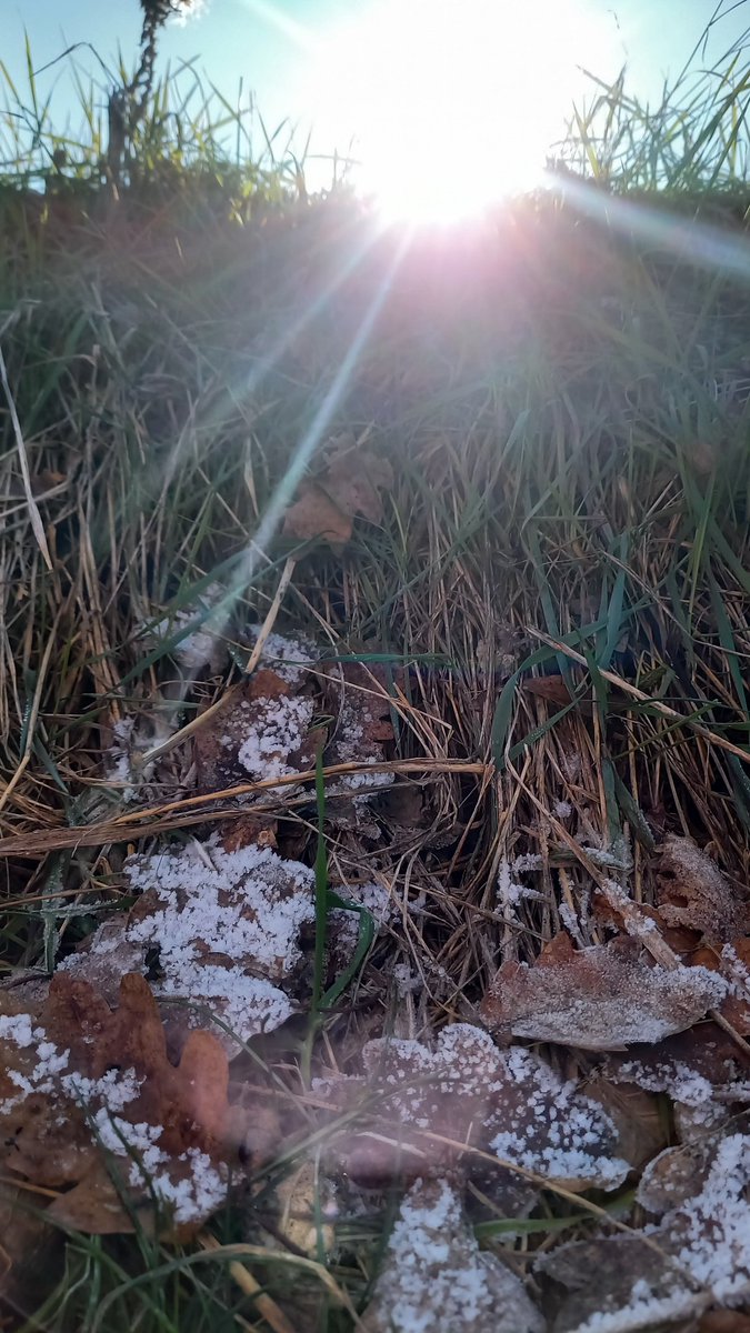 Certi scatti succedono. Ma sono talmente belli da stupirci
Eppure..
Sabato 10/01/26