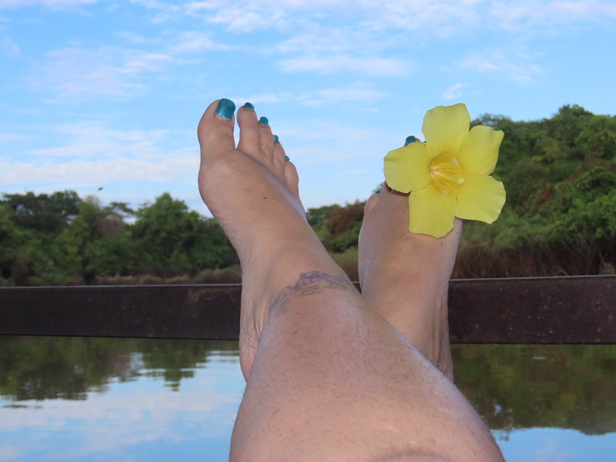 luxe_lynx_'s tweet photo. Sometimes itβs the smallest details π£πΌ
FootNight celebrates them all.
@JaxFootNight @CKJStudioJax @footnight
ποΈ https://t.co/I7J3yEoAsx
βΉοΈ https://t.co/AywqO3JQUT
#FootLovers #FootAesthetic #FootNight #LuxeLynx #AmazonRiverFeet #AmazonFeet #FeetCrossed #FootWorship #footfetΔ±sh