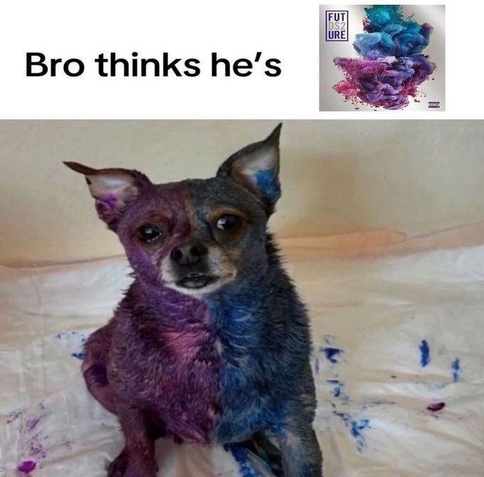 memes to save tweet media