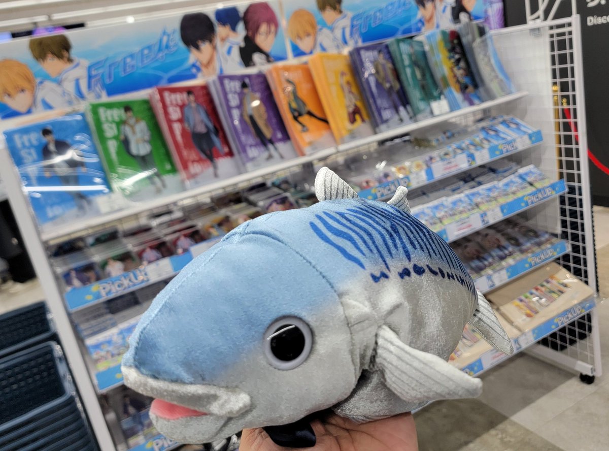 8年1月11日(日)10時～

「岩美町観光PRイベント　inアニメイト池袋本店」開催中⤴️⤴️⤴️