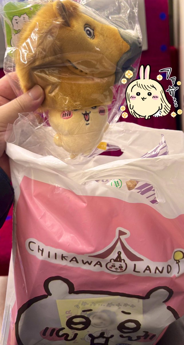 the_Chuo_Line's tweet image. ぷりゃ🐰