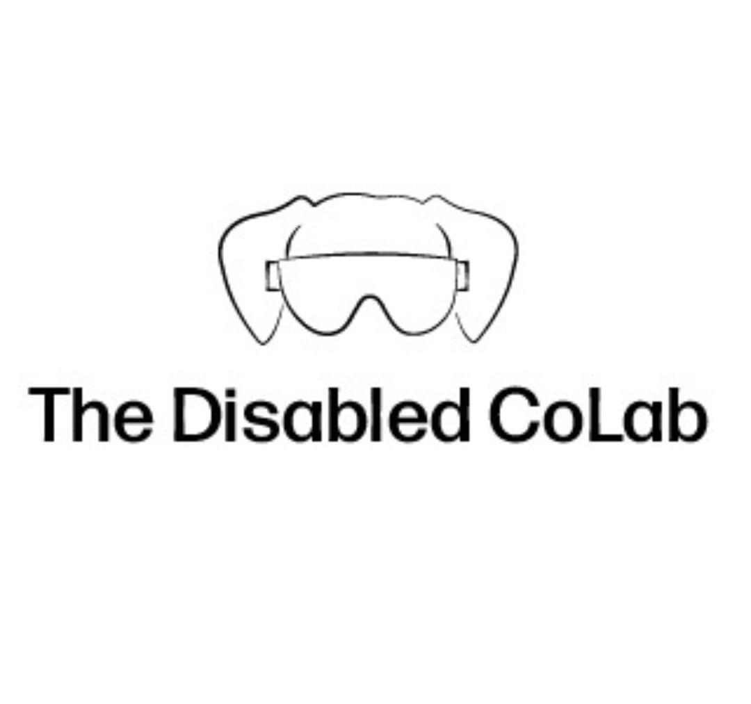 The Disabled CoLab tweet media