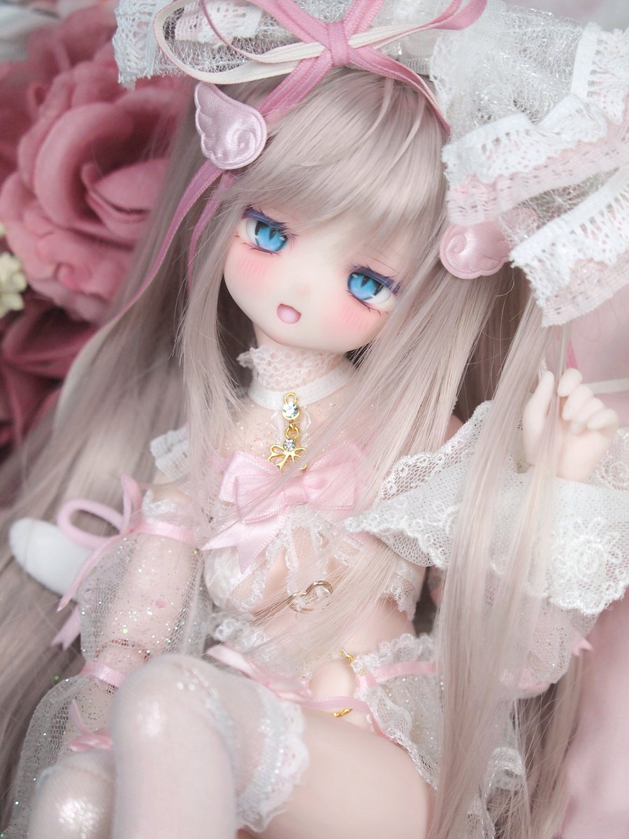 こちらの子は本日の夜までとなっています。よろしくお願いいたします