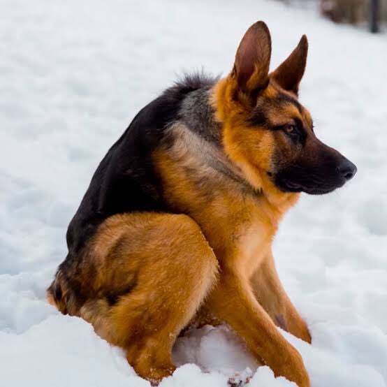 Girotti de extremo, está incómodo. Federico es 9. Está sacrificado en esa zona y no entra en juego. Vélez de lateral-carrilero es la novedad pero está parchando ante las bajas. Partido peleado y poco preciso, típico de pretemporada