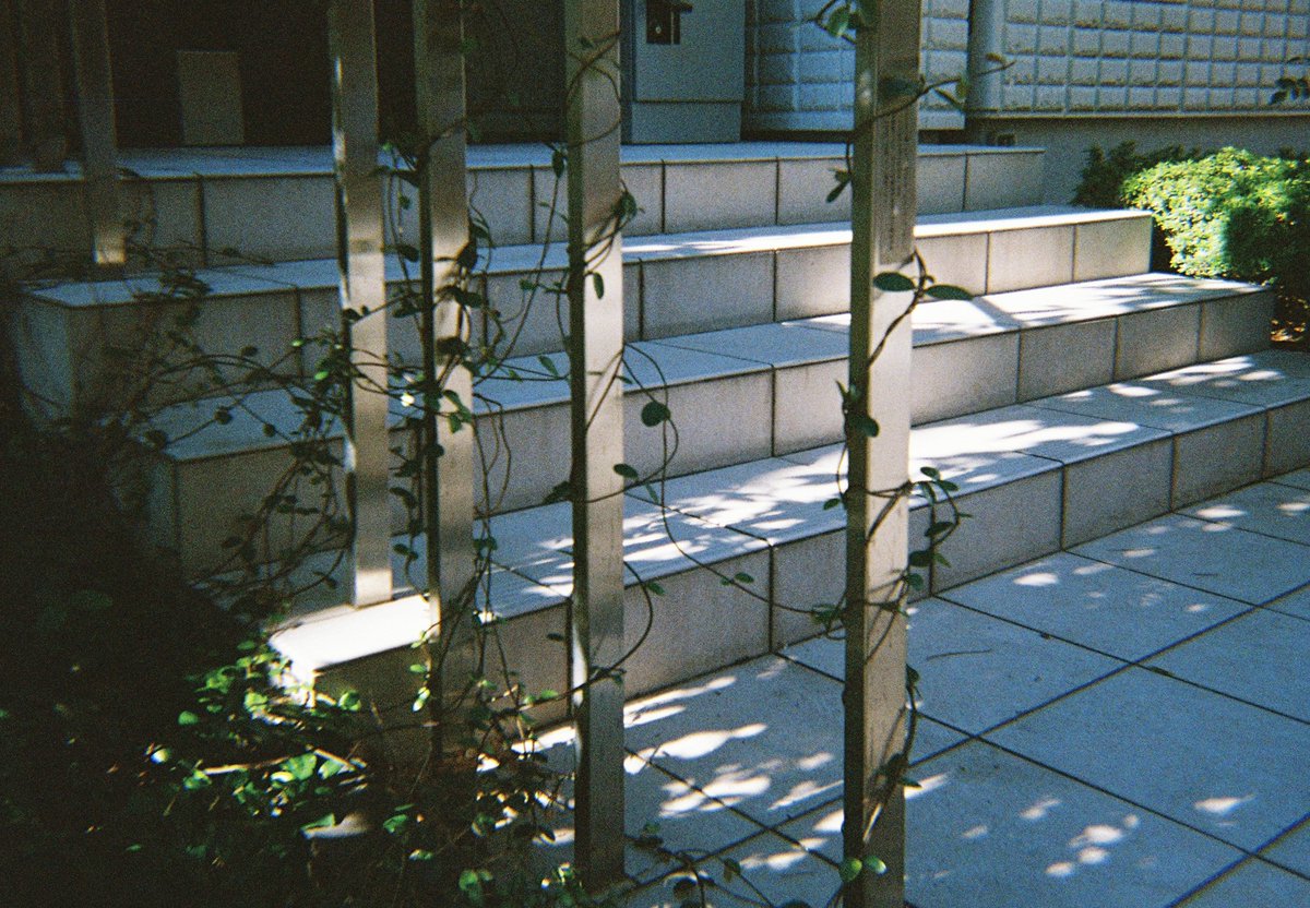 ・No.105 機能

・No.106 土台

・No.107 出番

・No.108 寄生