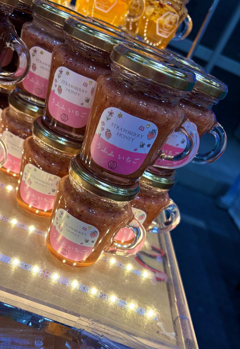 ✴︎ご成約品✴︎リピーター様　イベント割引　おまとめ同梱包３点 インター小動物】初入荷‼️白翁鳥着弾ッ‼️ | 名古屋のペットショップ