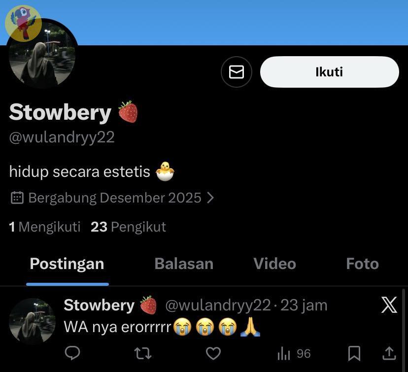 UNICEMFS tweet media