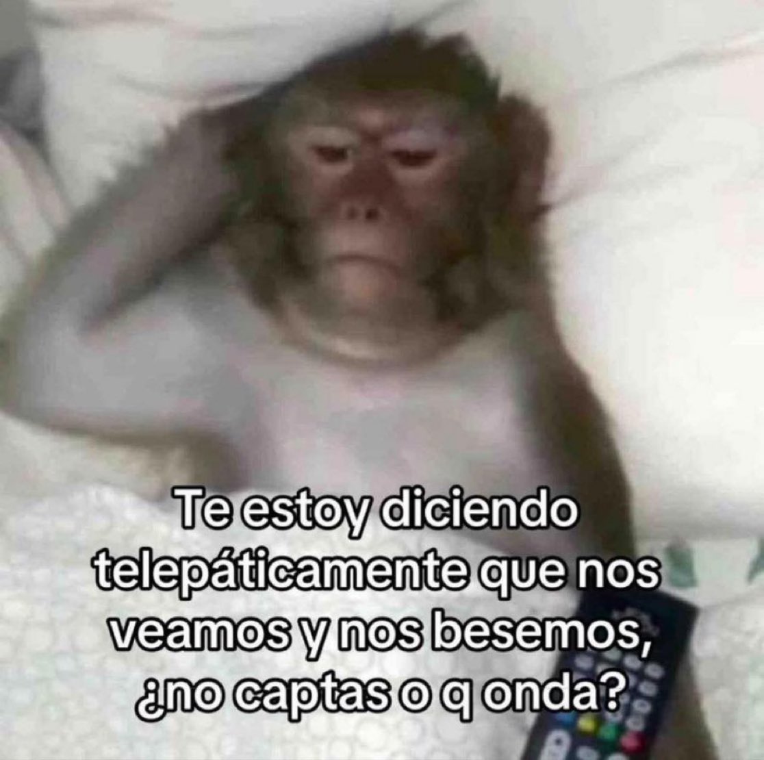 Javisness's tweet image. 