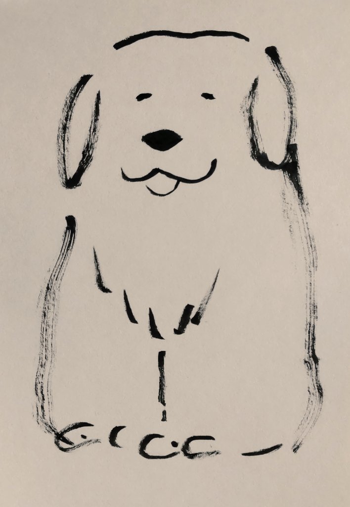 近所のレトリバー、いつでも優しい
目線を向けてくれるから大好き