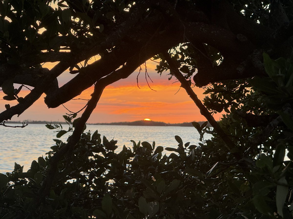 Bryan Bennett tweet media