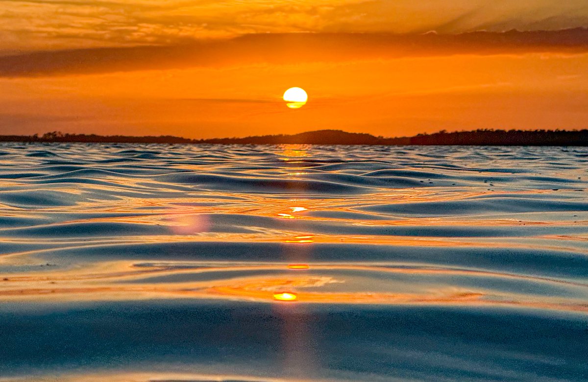 Bryan Bennett tweet media