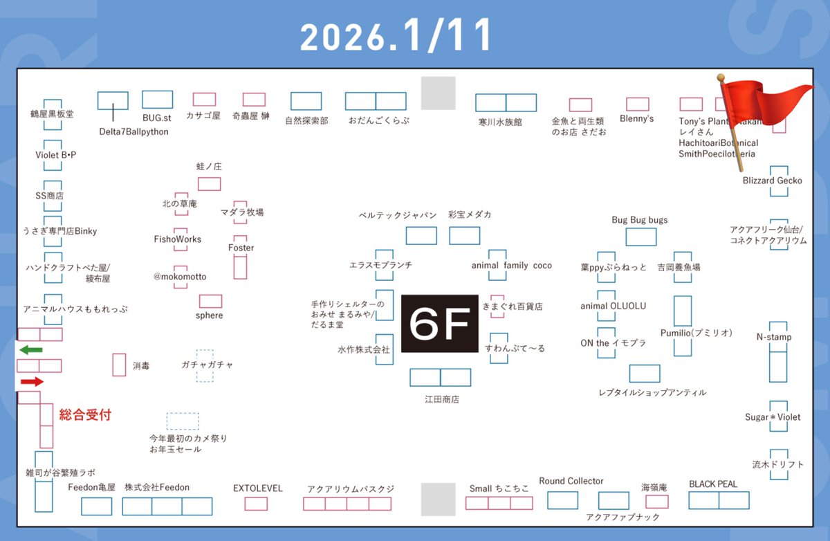 Blizzard Gecko🦎3/8BO tweet media