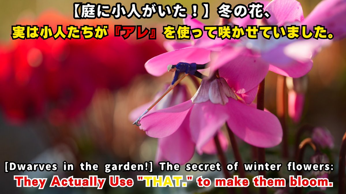 冬の庭に小人いた！アレ使ってた。小人たちの働きぶりはyoutubeで。
youtu.be/jTU9kCk0V7w