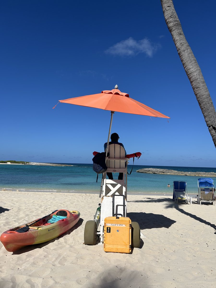 Marija Kundakovic tweet media