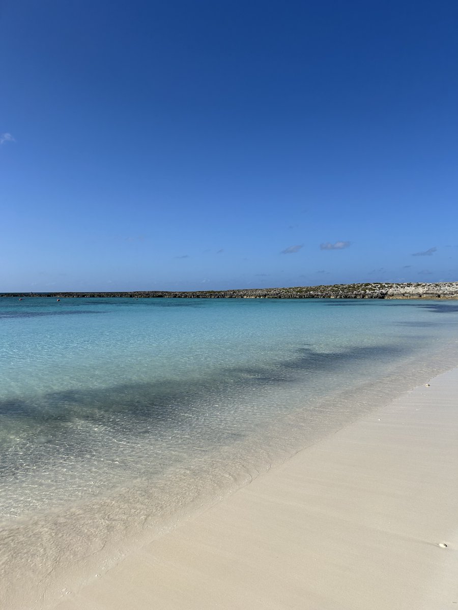 Marija Kundakovic tweet media