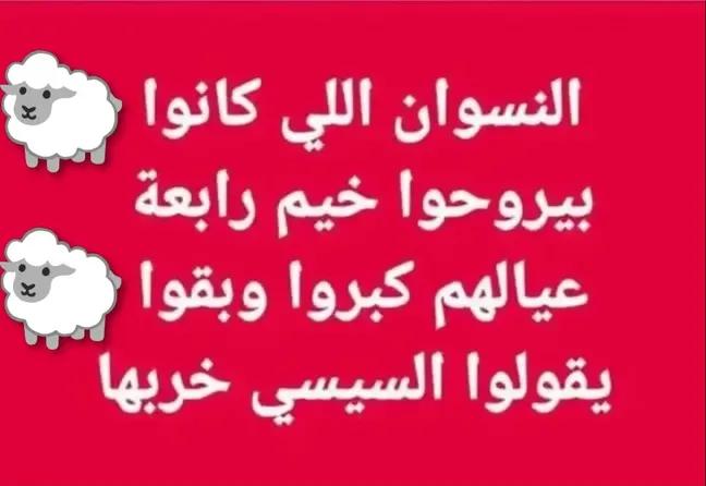EssamAn72610195's tweet photo. @GenZ002_eg https://t.co/m8YR6EH2wu