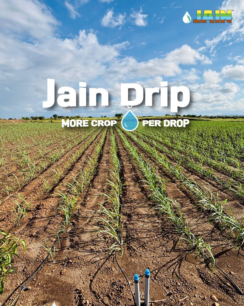 #கரும்பு_விவசாயிகள்_கவனத்திற்கு

Every drop counts when guided by precision 😎

Jain Drip transforms water into opportunity.
Empowering farmers with smart, precise farming solutions 💧 

Higher yields, healthier crops, sustainable futures