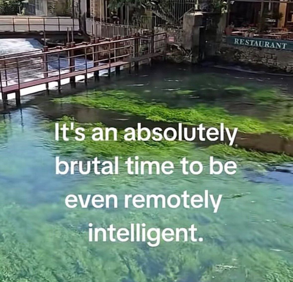 Trad_West_Art's tweet image. 