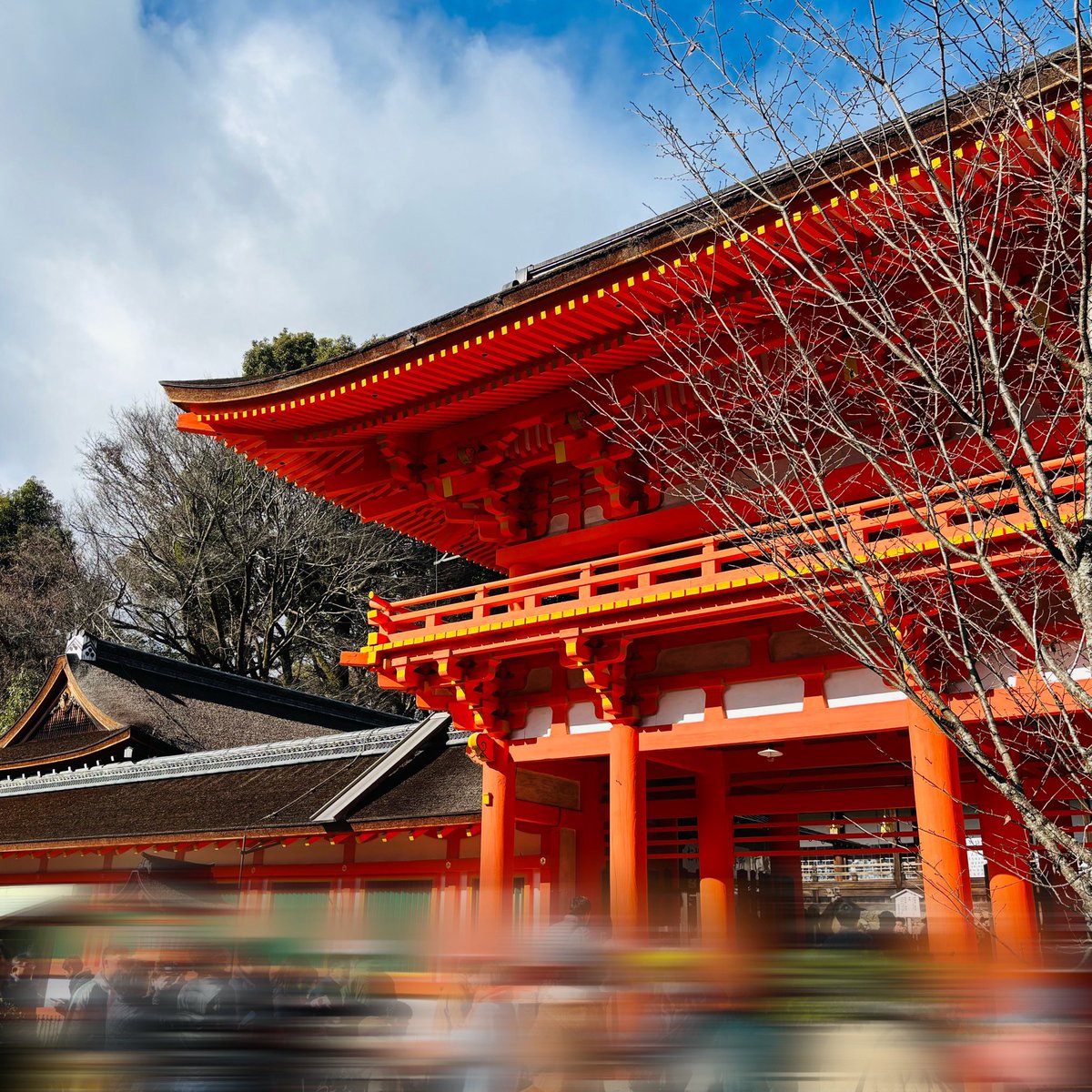 HamsFactory's tweet image. 今年の初詣は、上賀茂神社と下鴨神社に行ってきました😊八咫烏ちゃん御神籤がかわええ😍結果は大吉✨✨