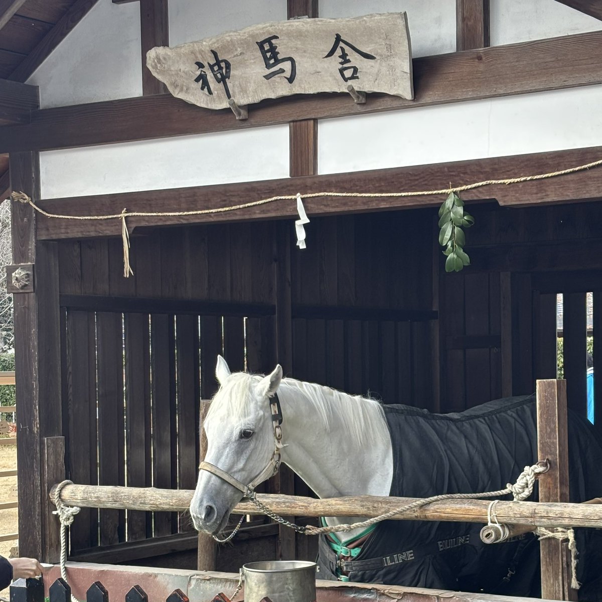 HamsFactory's tweet image. 今年の初詣は、上賀茂神社と下鴨神社に行ってきました😊八咫烏ちゃん御神籤がかわええ😍結果は大吉✨✨