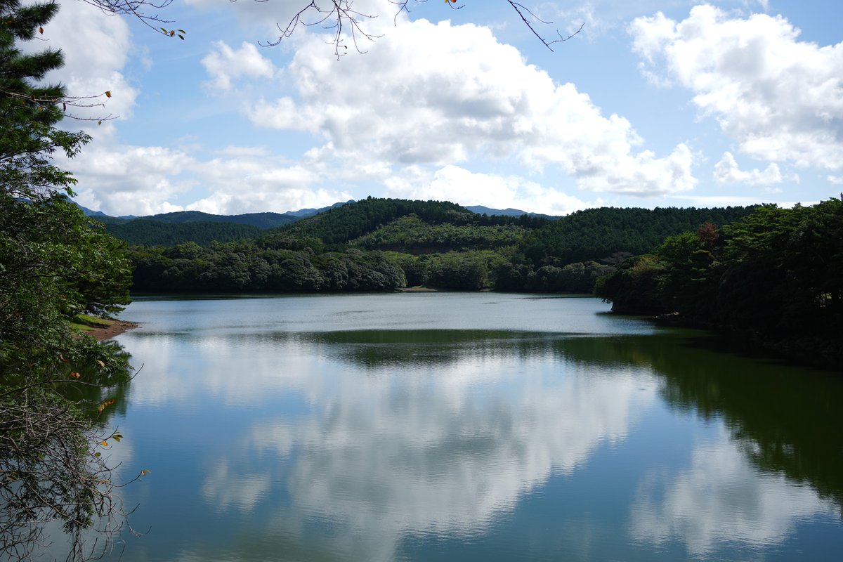 まつだいε tweet media