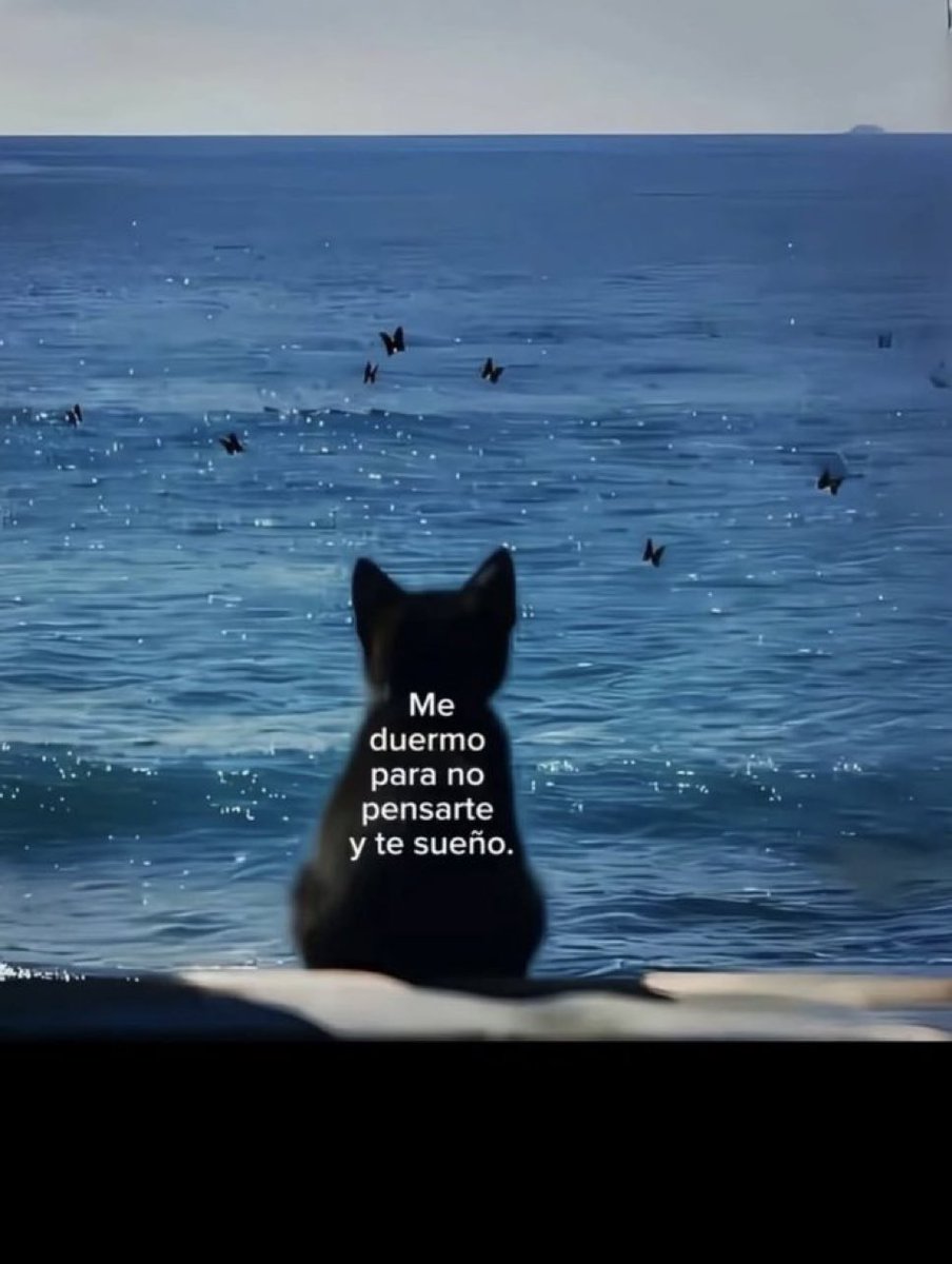 🌙 mini textos (@soyminitextos) on Twitter photo 