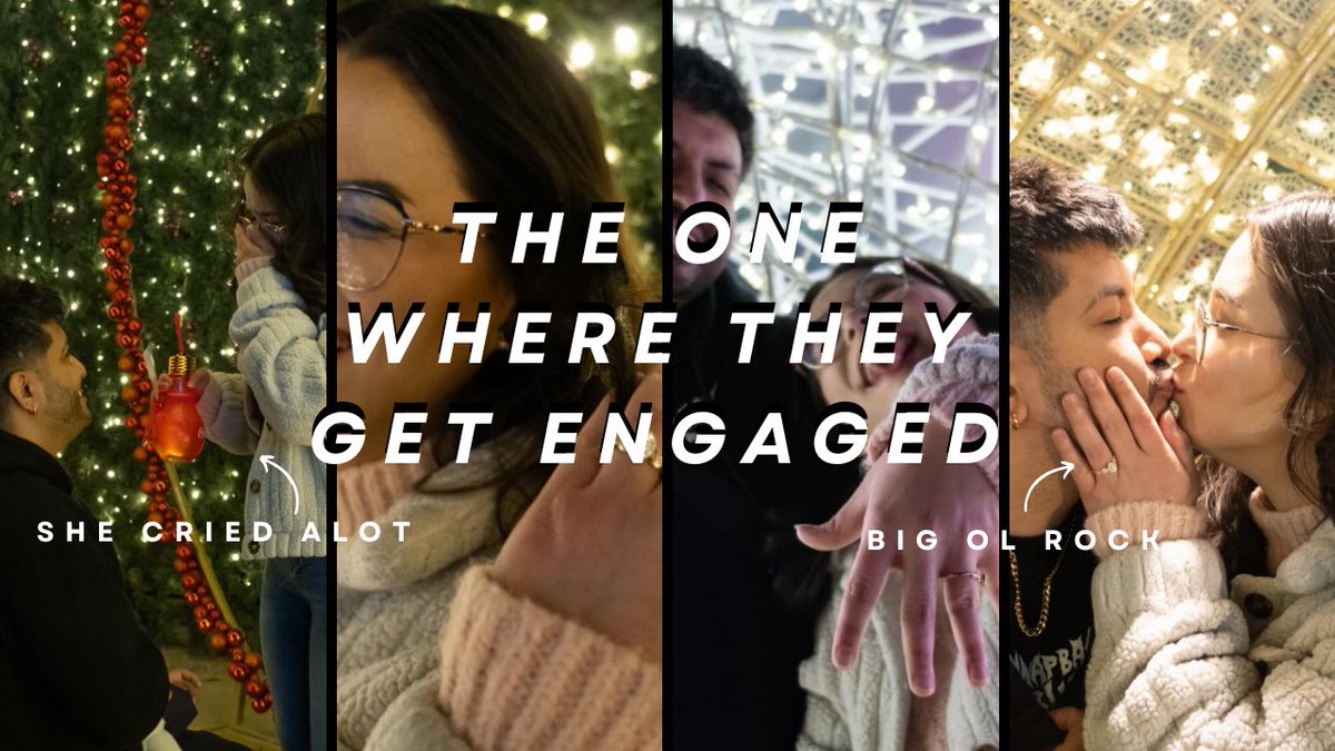 Bomb Cat tweet media